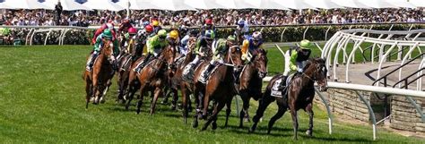 spring racing carnival betting odds|Spring Racing Carnival 2023 .